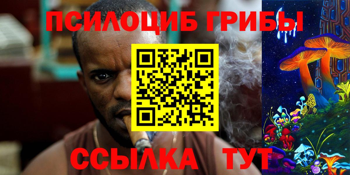 Галлюциногенные грибы Psilocybe Арсеньев